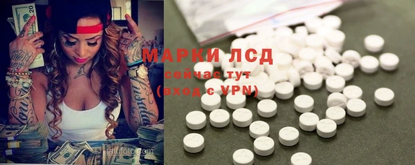 эйфоретик Баксан
