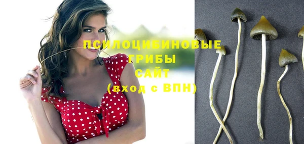 эйфоретик Баксан